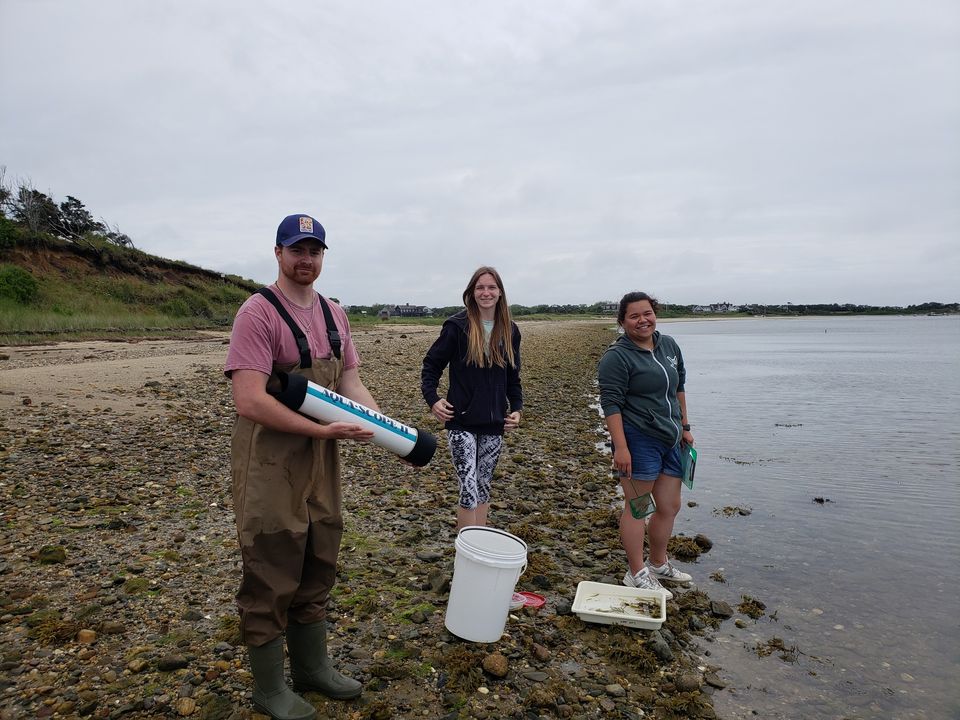 three student interns on the beach