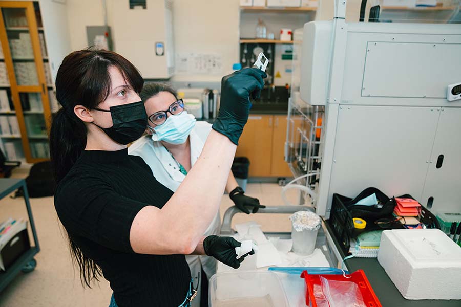 A UMass Boston researcher uses high-tech equipment.